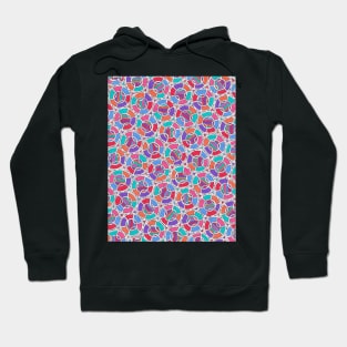 Colorful Circles Maze Hoodie